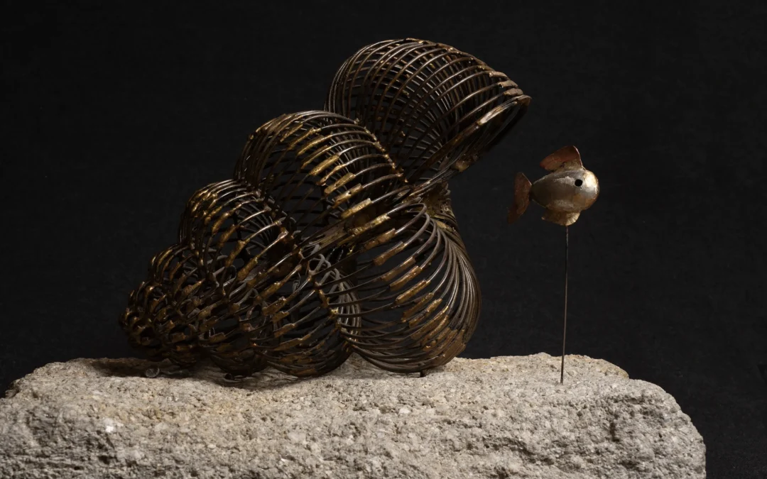 Coquillage