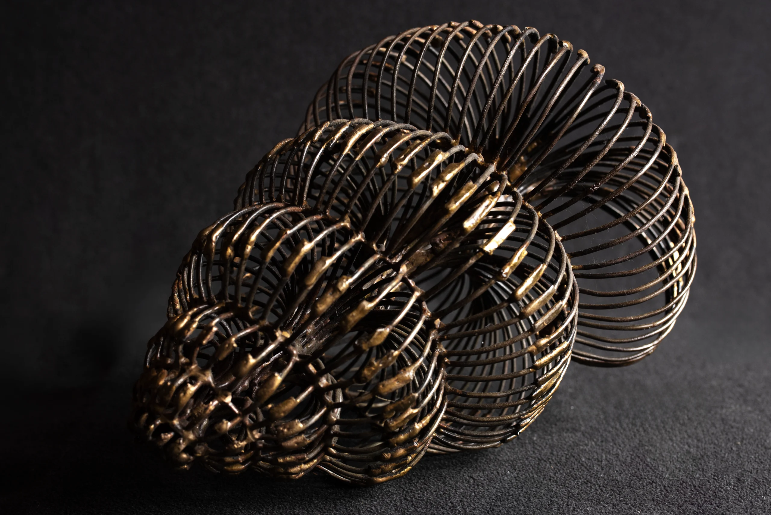 coquillage