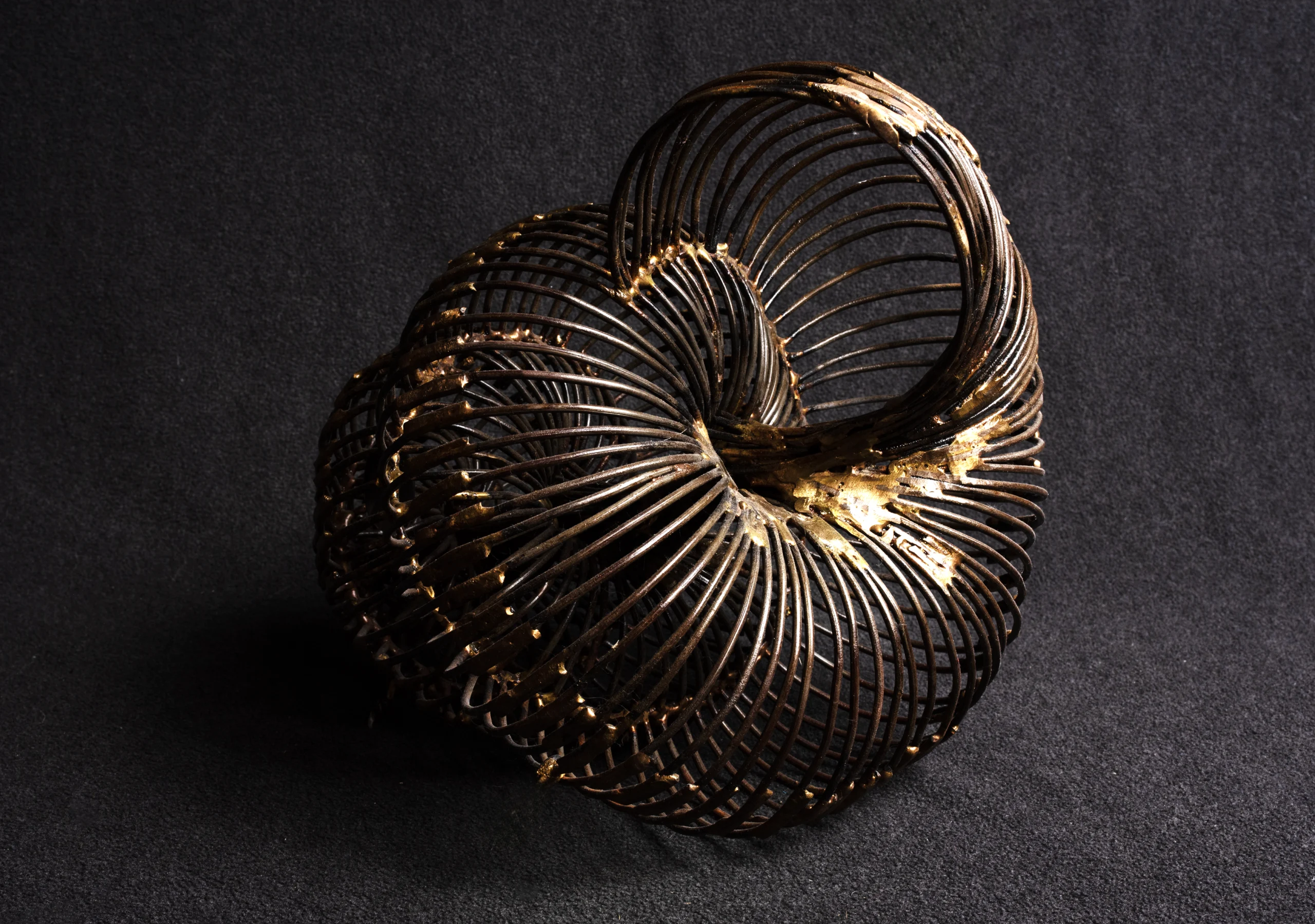 coquillage